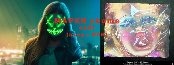 хмурый Аркадак