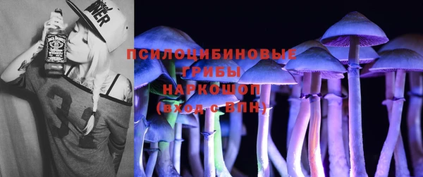 хмурый Аркадак