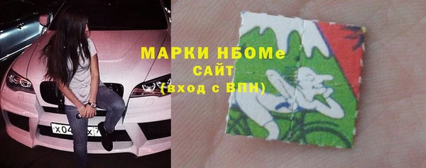 индика Арсеньев
