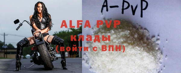 индика Арсеньев