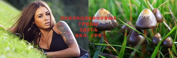 индика Арсеньев