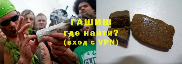 хмурый Аркадак