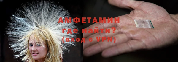 индика Арсеньев