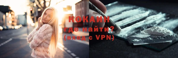 хмурый Аркадак