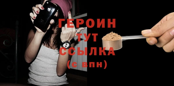 индика Арсеньев