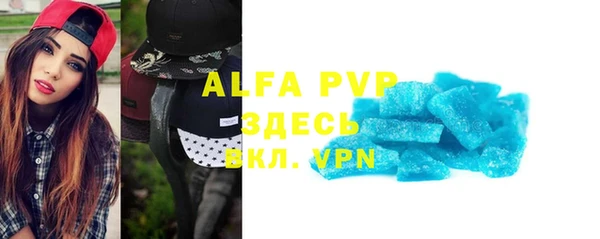 хмурый Аркадак