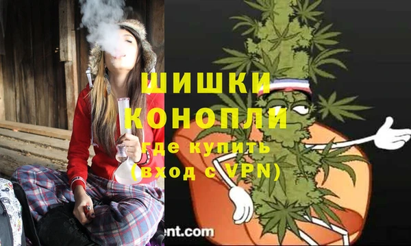 хмурый Аркадак