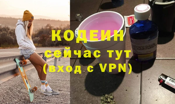 индика Арсеньев