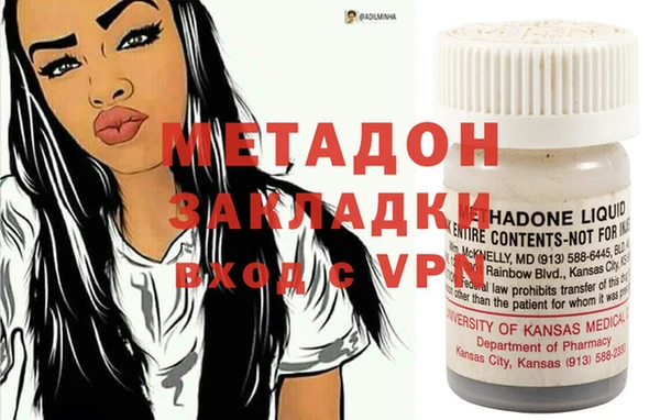 индика Арсеньев