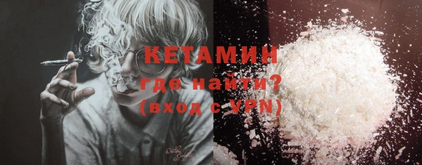 хмурый Аркадак