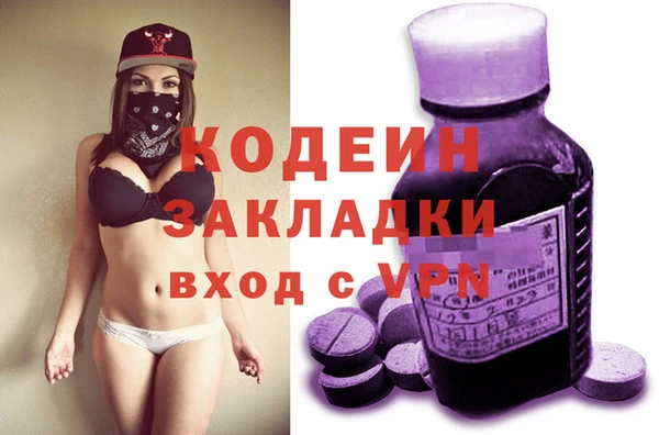 хмурый Аркадак