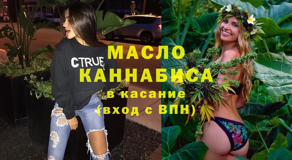 хмурый Аркадак
