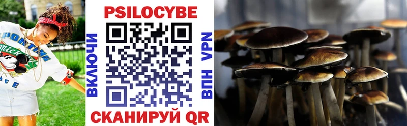 Галлюциногенные грибы GOLDEN TEACHER  где купить наркоту  Ахтубинск 