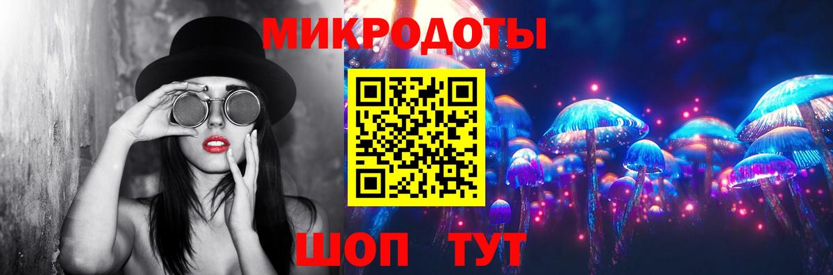 Галлюциногенные грибы Psilocybe Ахтубинск